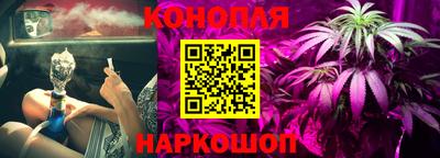 крисы Волжск
